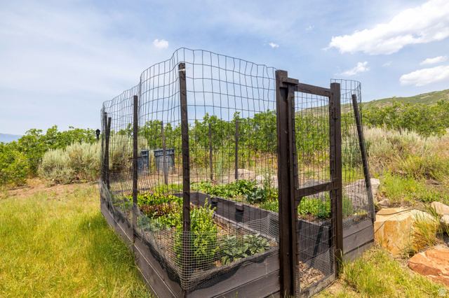 11547 Soaring Hawk Lane Hideout, UT 84036 - Photo 36 of 43 Fenced garden enclosure featuring raised planting beds with established greenery