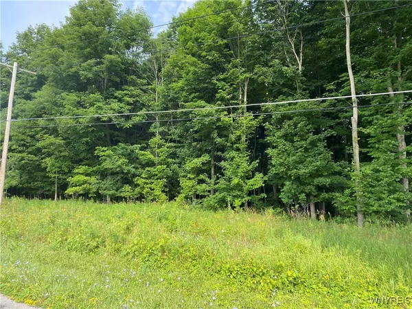 $115,000 | Vl South Lake Road, Corfu, NY 14036