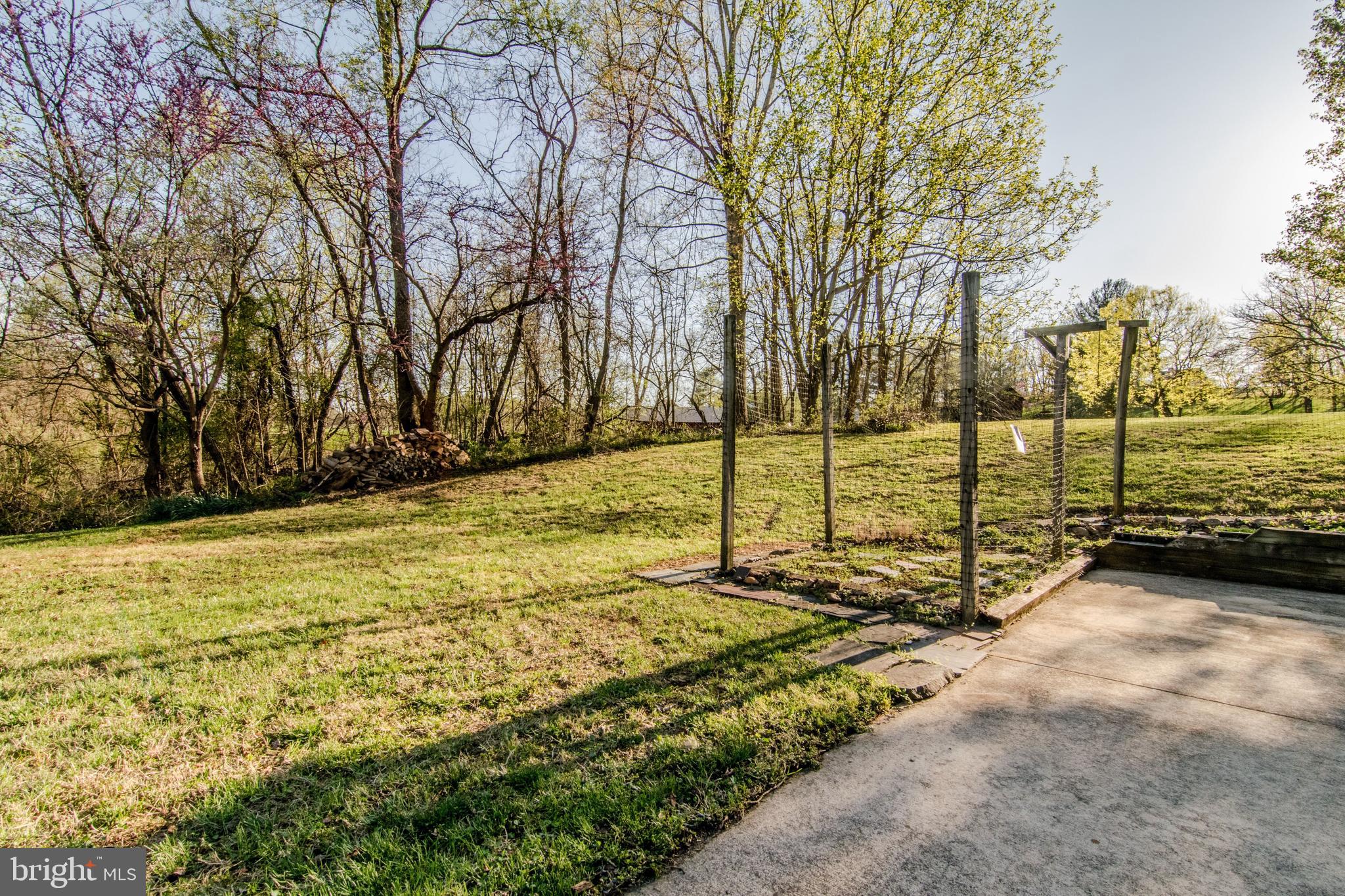 770 John Rissler Road Charles Town, WV 25414 - Photo 11 of 32 Rear Yard