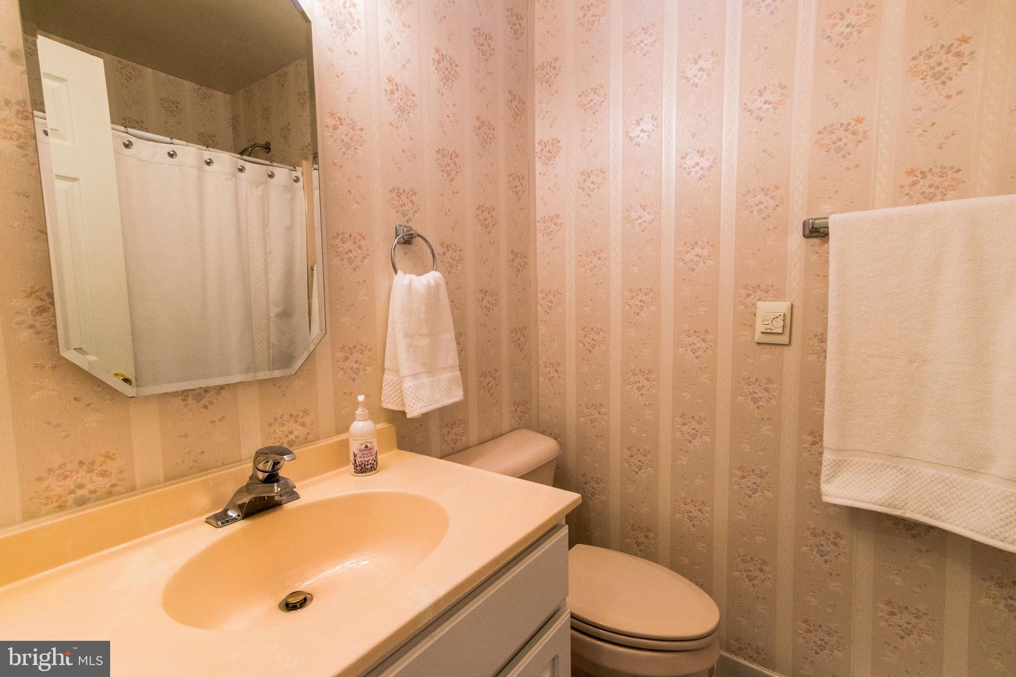 770 John Rissler Road Charles Town, WV 25414 - Photo 23 of 32 Bath 2 on Main Level