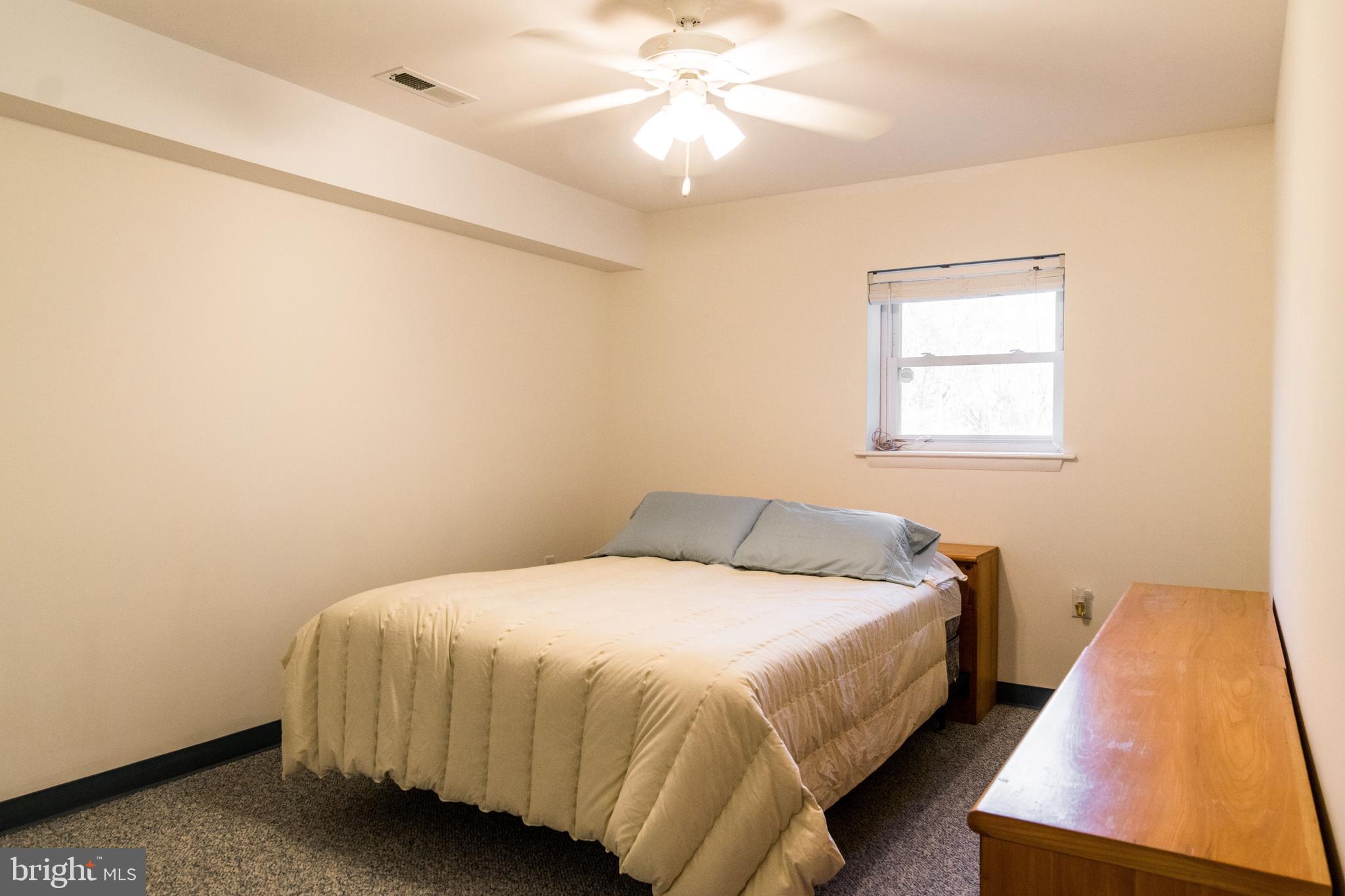 770 John Rissler Road Charles Town, WV 25414 - Photo 27 of 32 Lower Level Bedroom