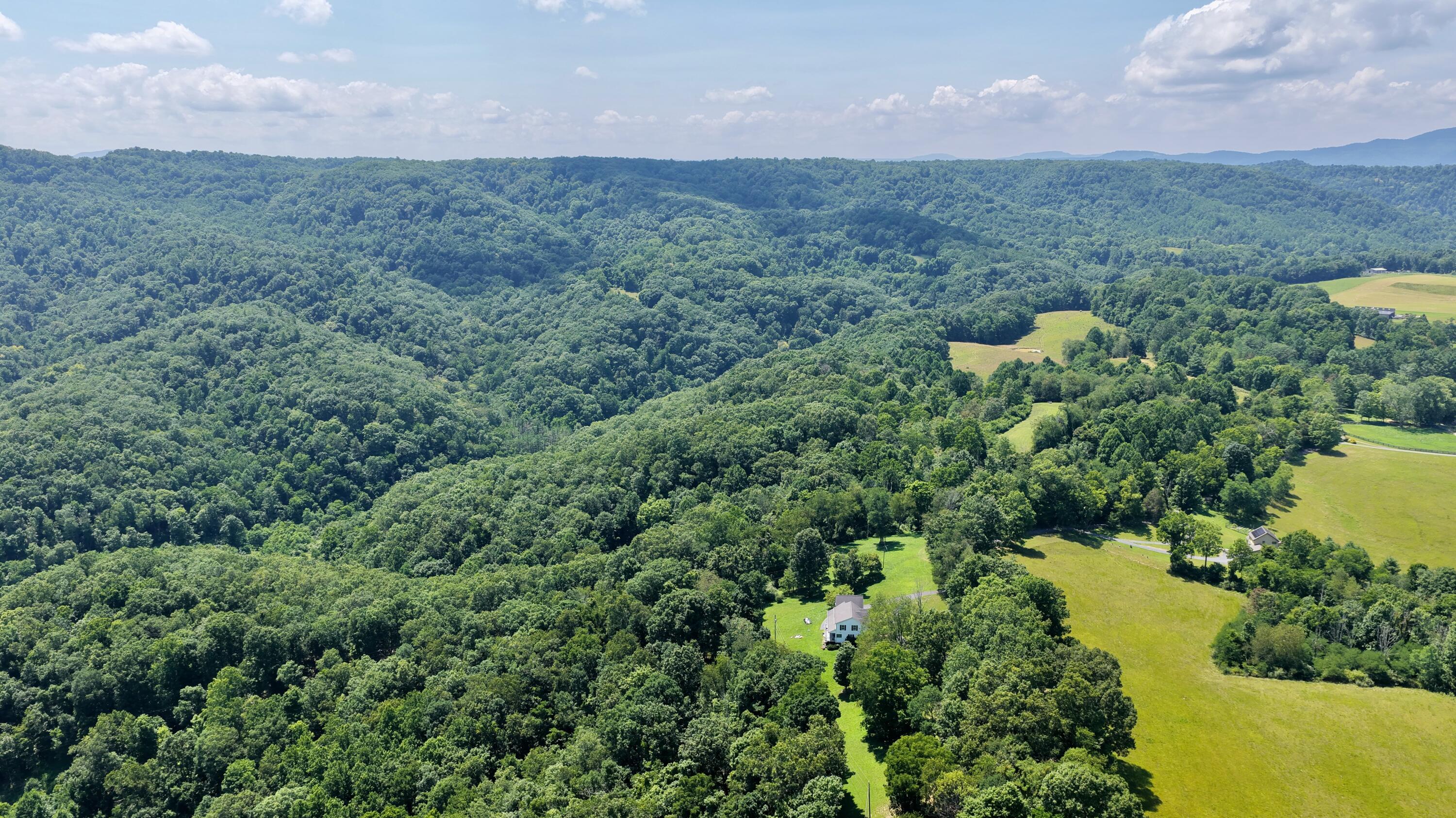 941 Chestnut Flats Road Williamsburg, WV 24991 - Photo 94 of 109 Gallery Image 94