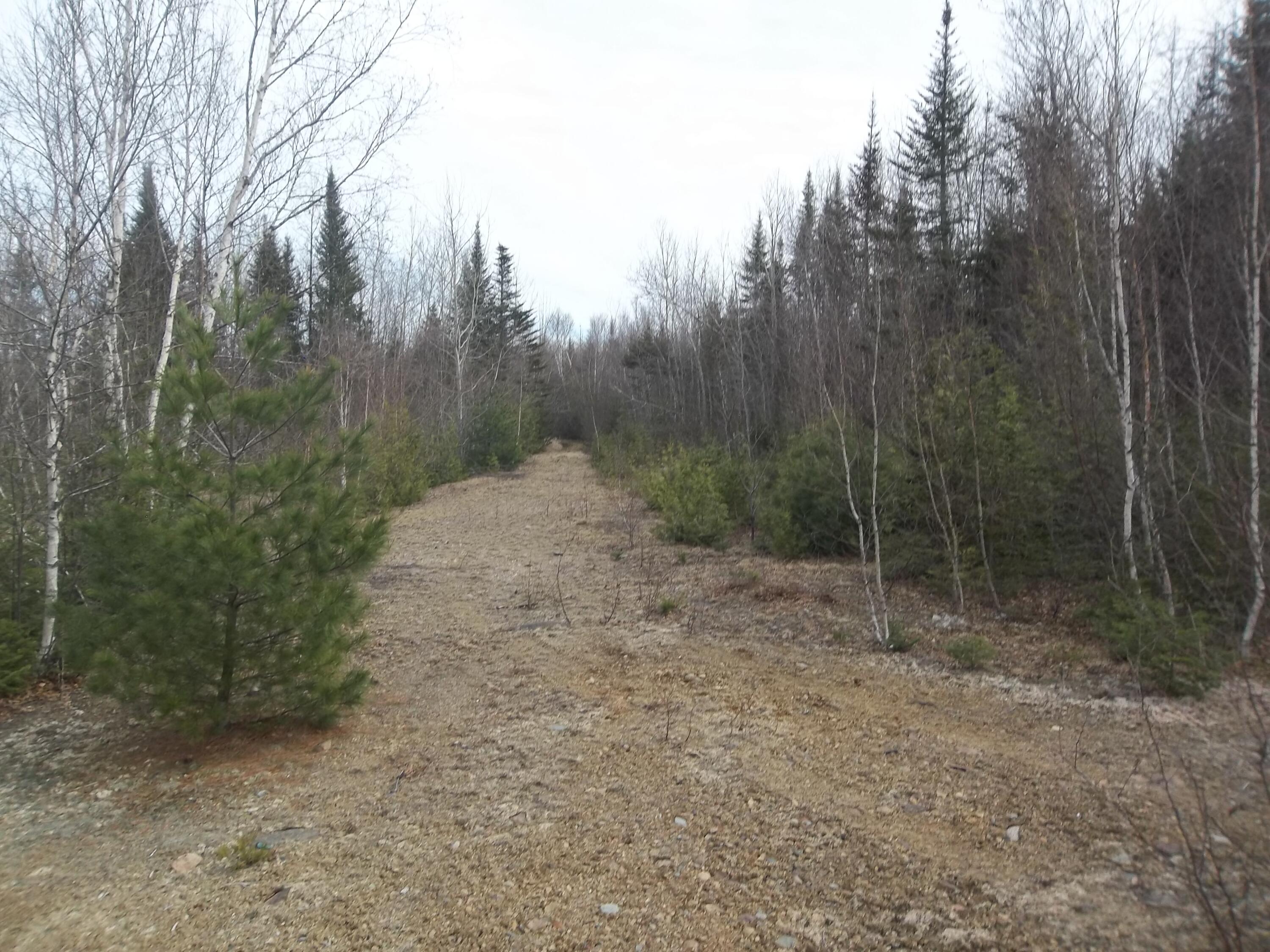 M8-l21 Ridge Road Robbinston, ME 04671 - Photo 4 of 5 100_0029