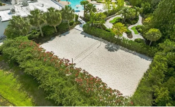 a view of a garden with plants