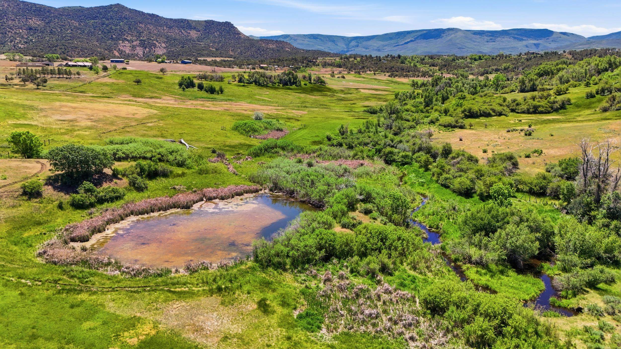 15377-59 59 1/2 Road Collbran, CO 81624 - Photo 40 of 42