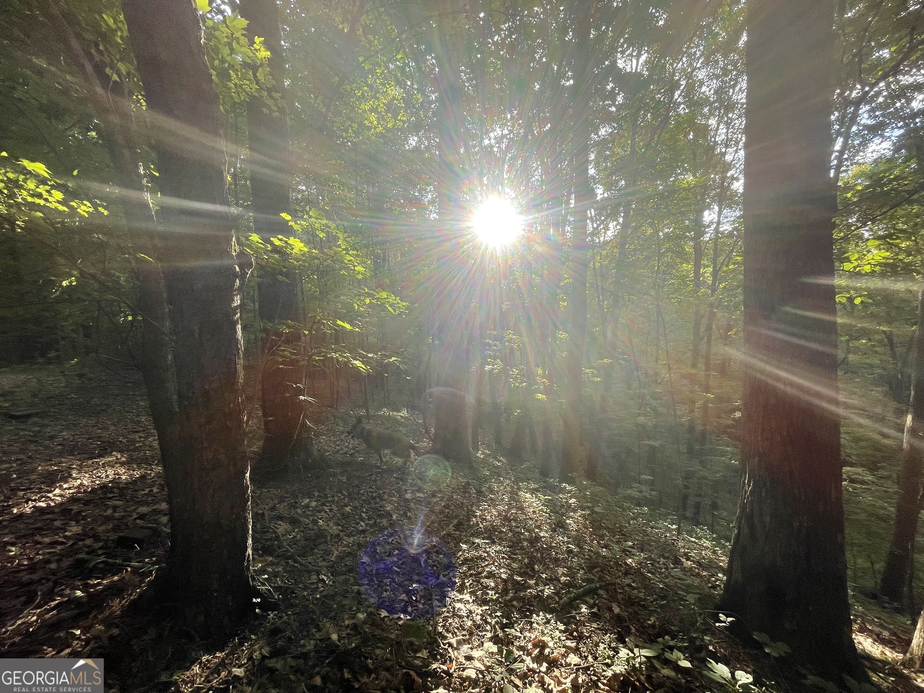 1218 Hilton Drive Ranger, GA 30734 - Photo 1 of 33 a bathroom with a shower