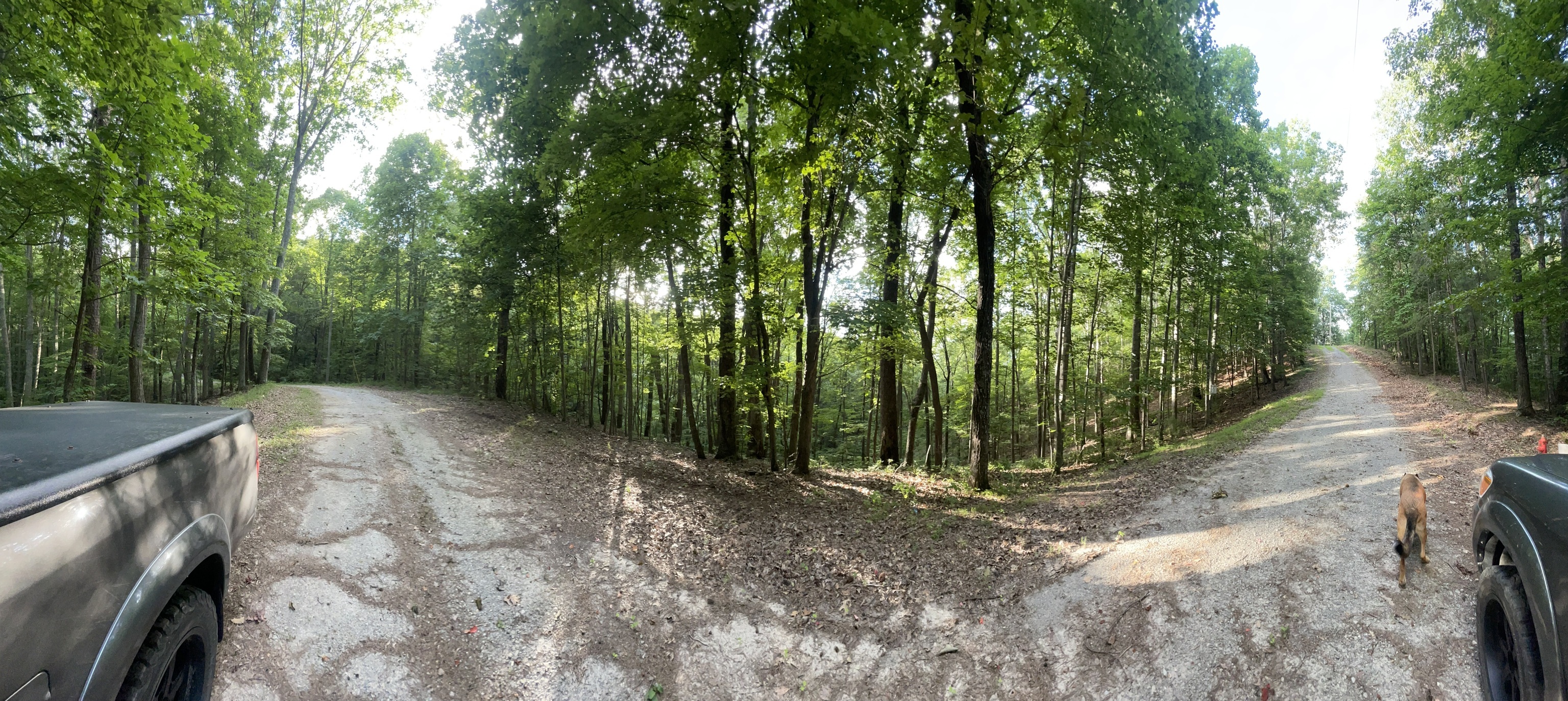 1218 Hilton Drive Ranger, GA 30734 - Photo 2 of 33 a view of outdoor space and yard