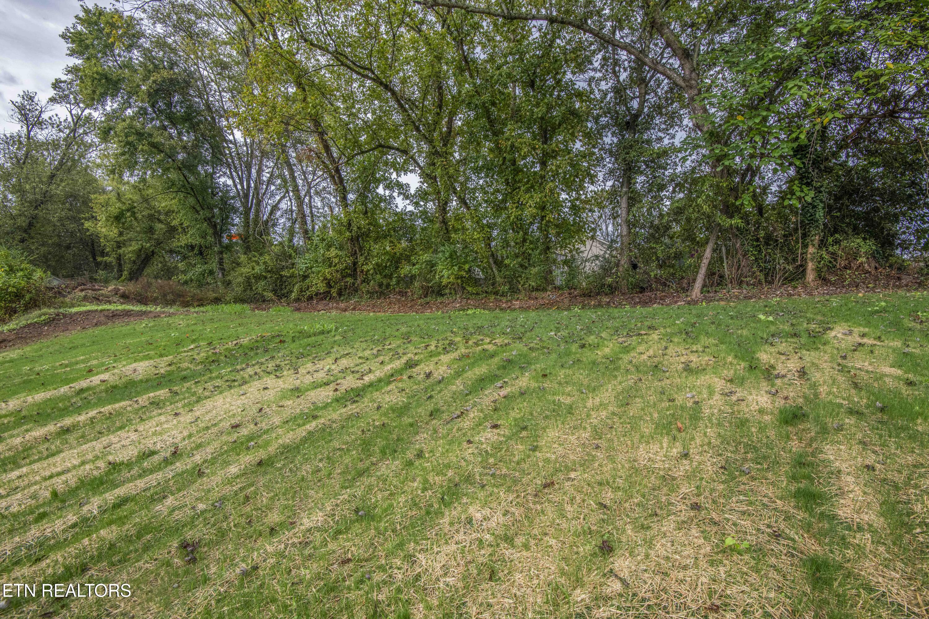 914 McAdoo Street Clinton, TN 37716 - Photo 37 of 42 38_1