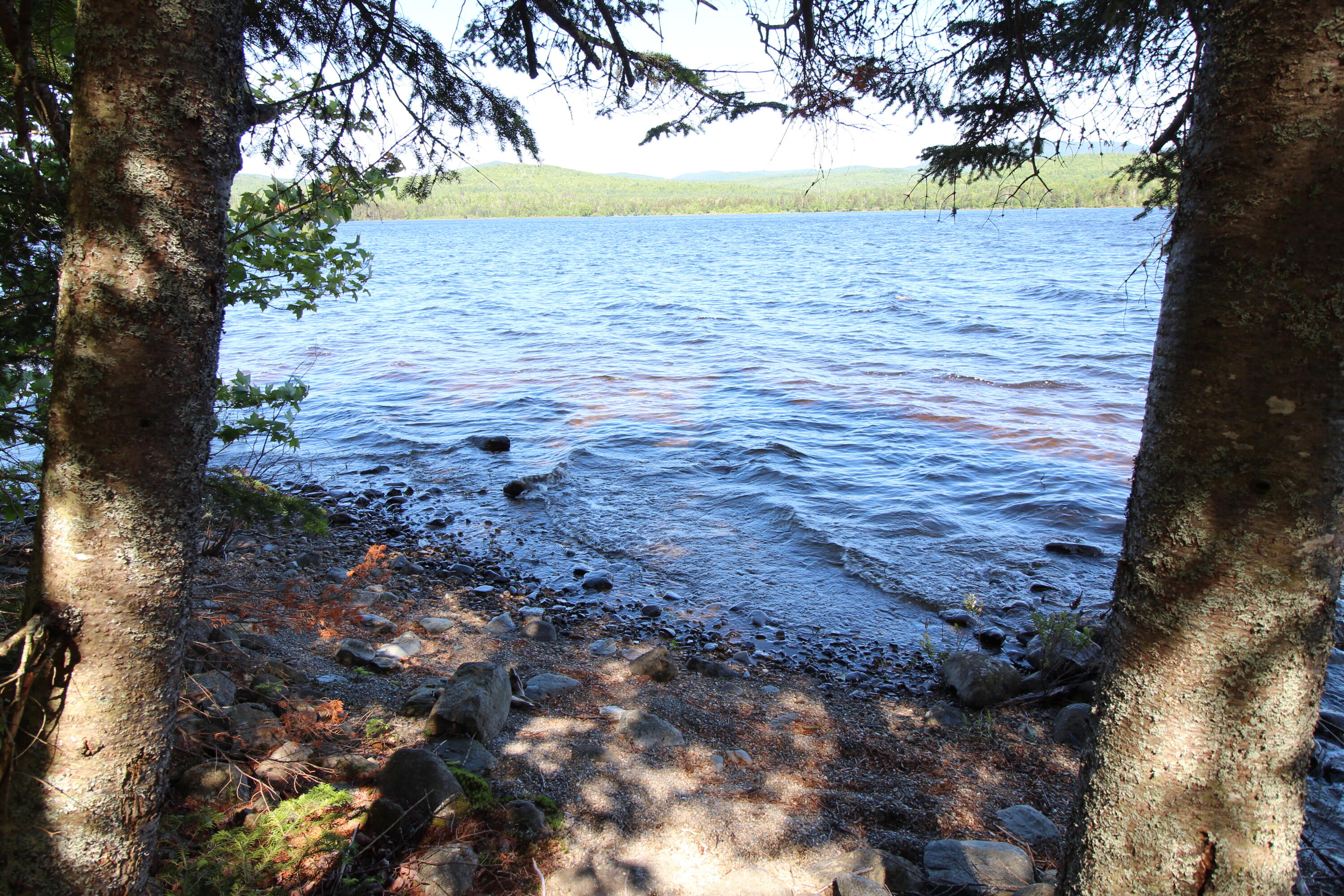 Lot 16.2 Alca Heights Road Oquossoc, ME 04964 - Photo 9 of 32 IMG_3722