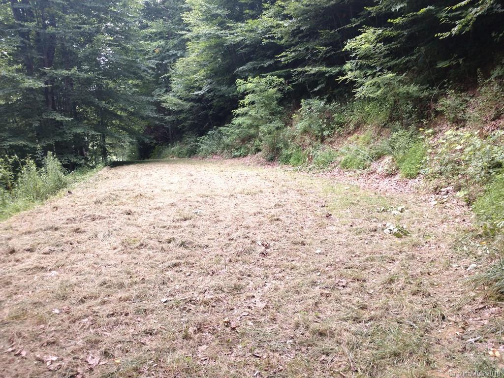 3 Sugar Cove Road Clyde, NC 28721 - Photo 1 of 11 a view of a yard with a tree