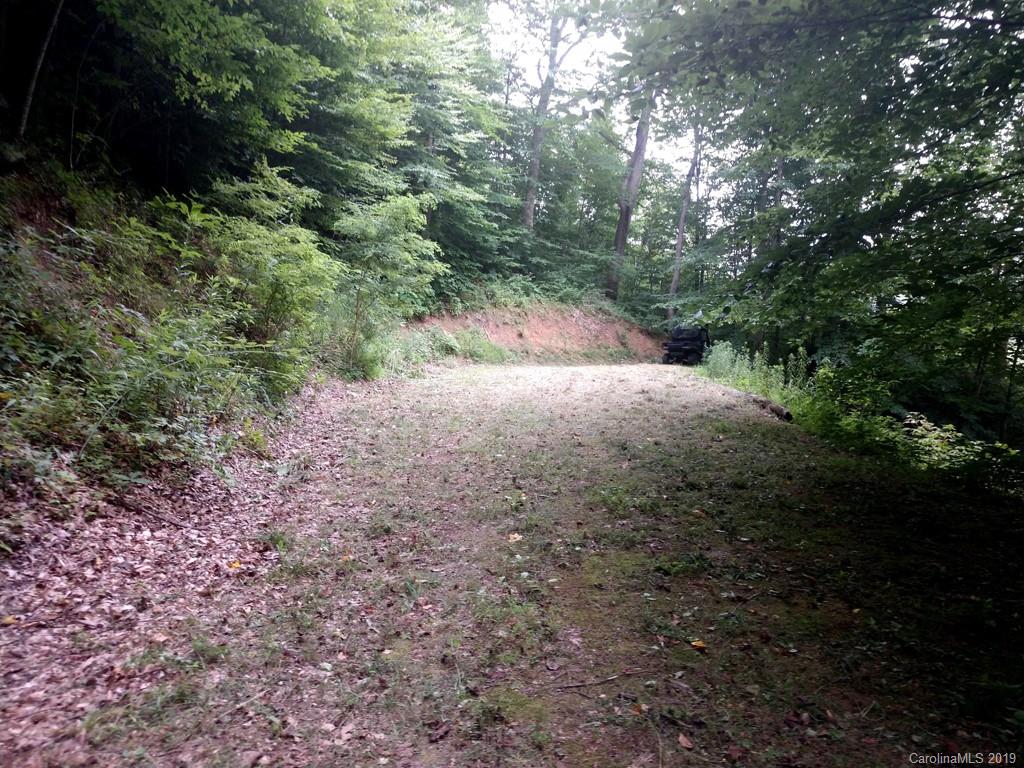 3 Sugar Cove Road Clyde, NC 28721 - Photo 3 of 11 a view of yard
