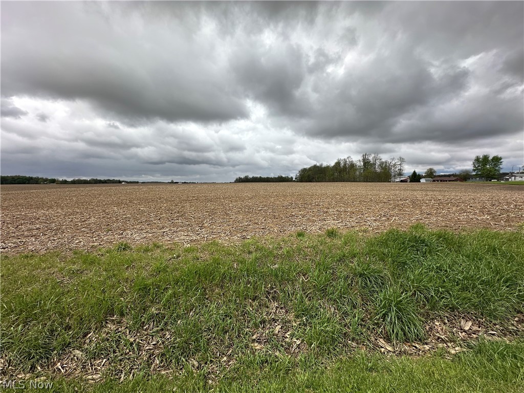 Expansive cleared land featuring a broad, level terrain