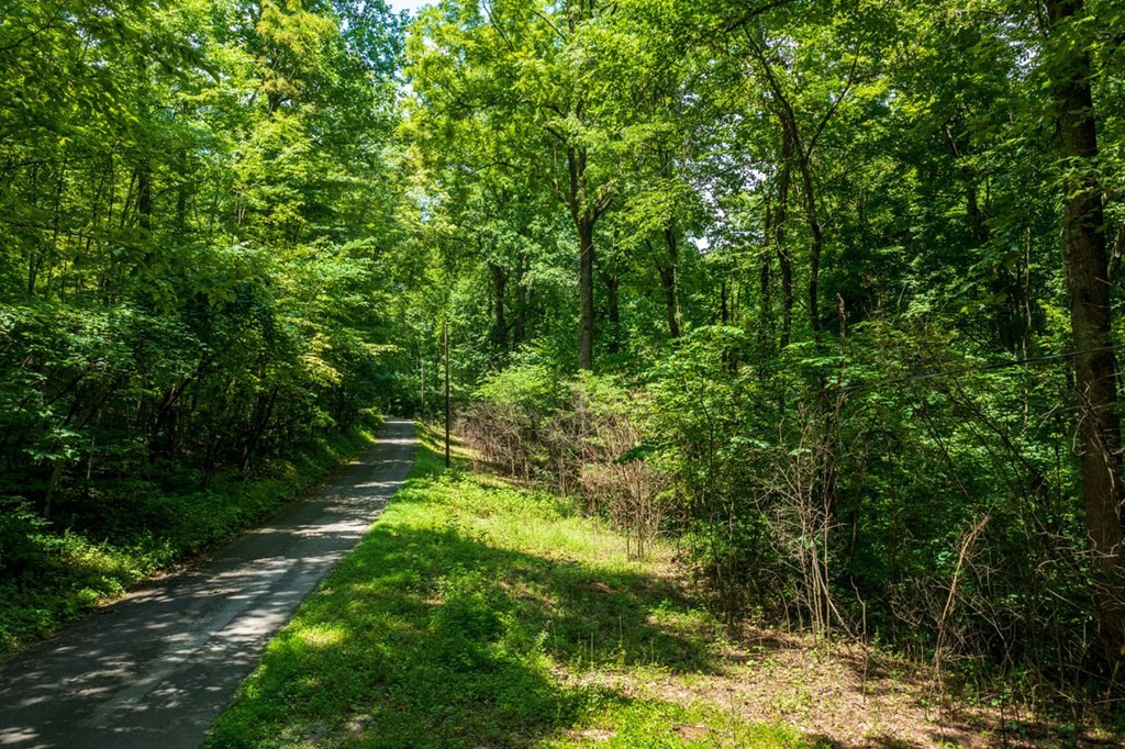 9 Blowing Cave Road Sevierville, TN 37876 - Photo 3 of 10