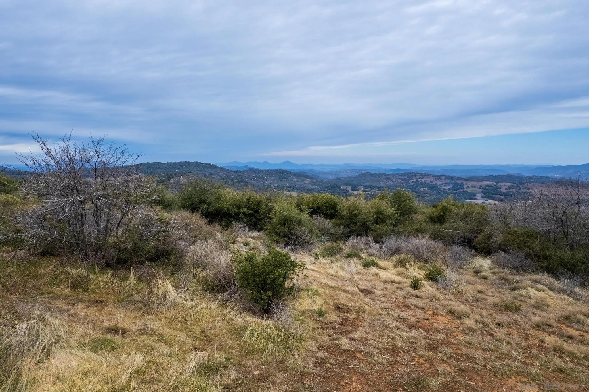 0 Slumbering Oaks Trail, Unit A Julian, CA 92036 - Photo 8 of 20 a view of a dry yard with mountains and green space