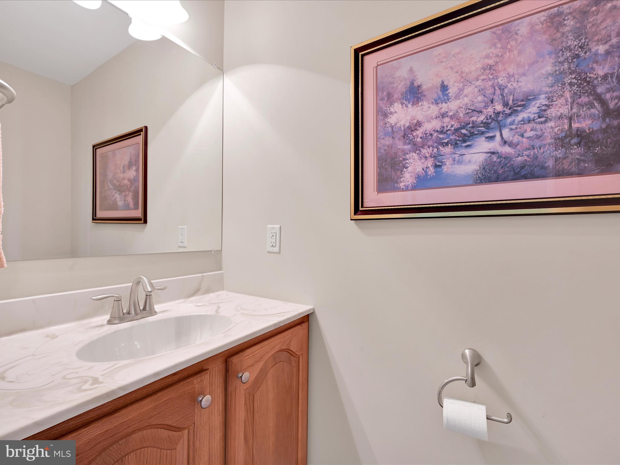 7 West Ridge Road Lititz, PA 17543 - Photo 16 of 40 a bathroom with a granite countertop sink a mirror and a picture on the wall