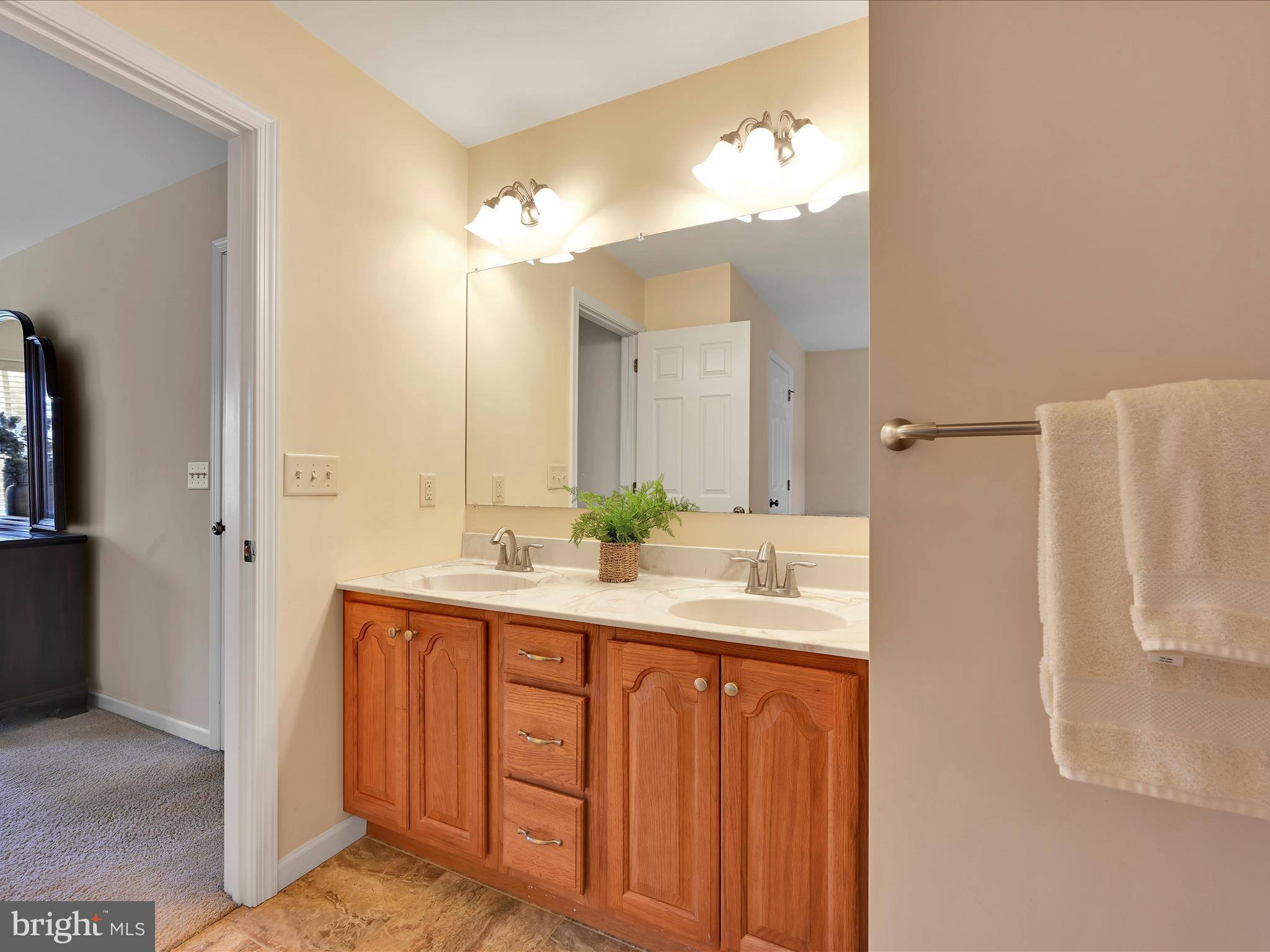 7 West Ridge Road Lititz, PA 17543 - Photo 19 of 40 a bathroom with a double vanity sink mirror and