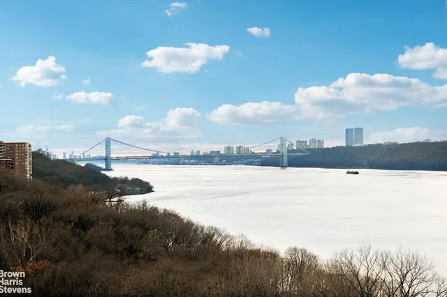 a view of a lake and a mountain