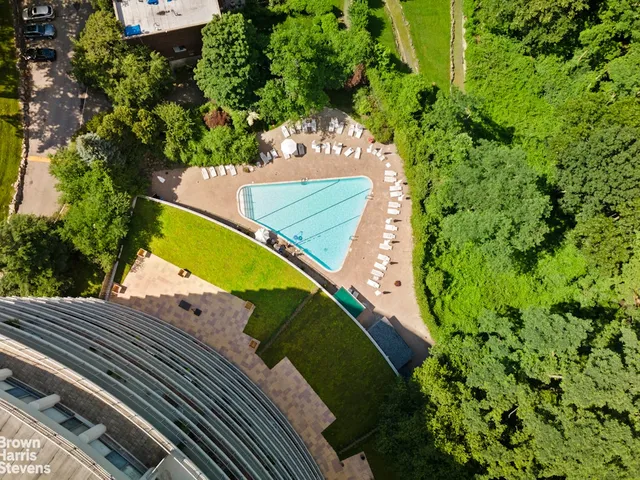 a view of a yard with plants