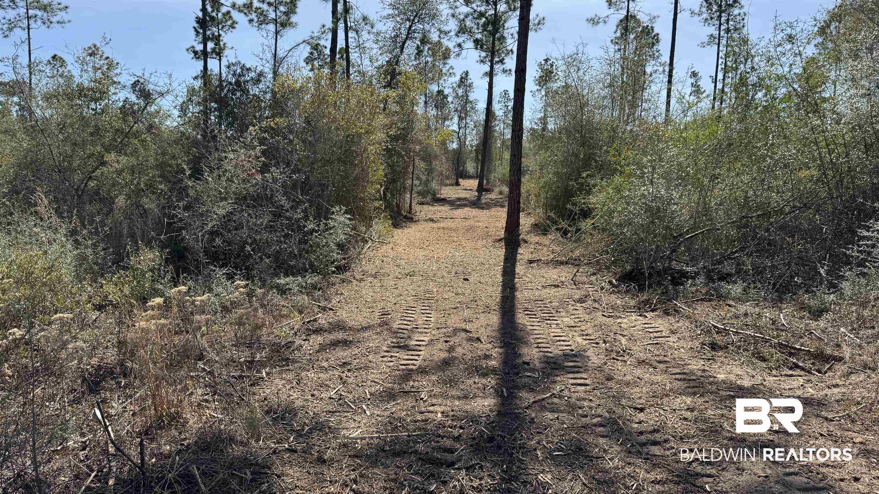 0 Archie Road Elberta, AL 36530 - Photo 8 of 16 View of undeveloped land