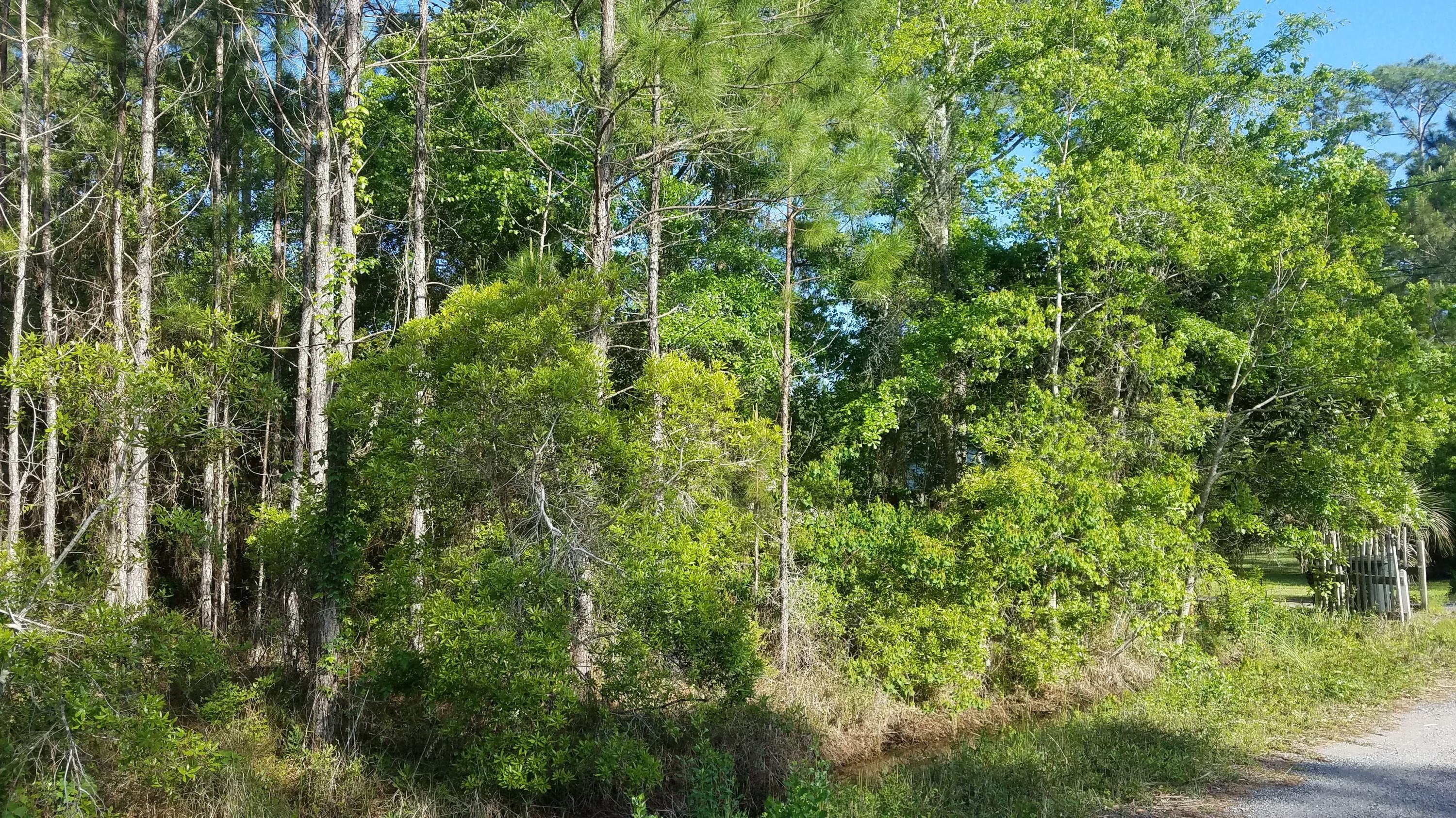 9-10 Central 8th Santa Rosa Beach Santa Rosa Beach, FL 32459 - Photo 4 of 8 a view of a lush green forest