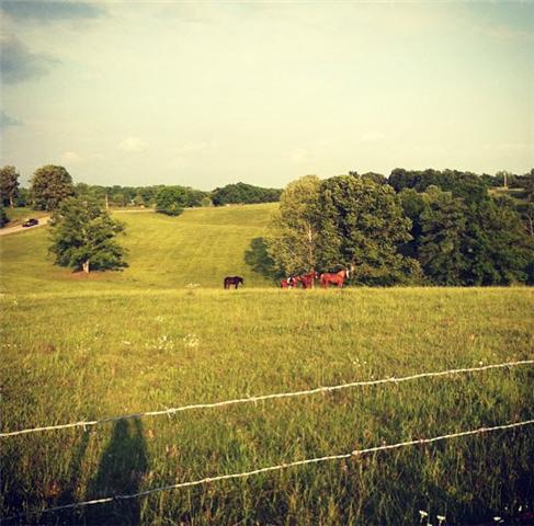 7663 Shoals Branch Road Primm Springs, TN 38476 - Photo 19 of 20