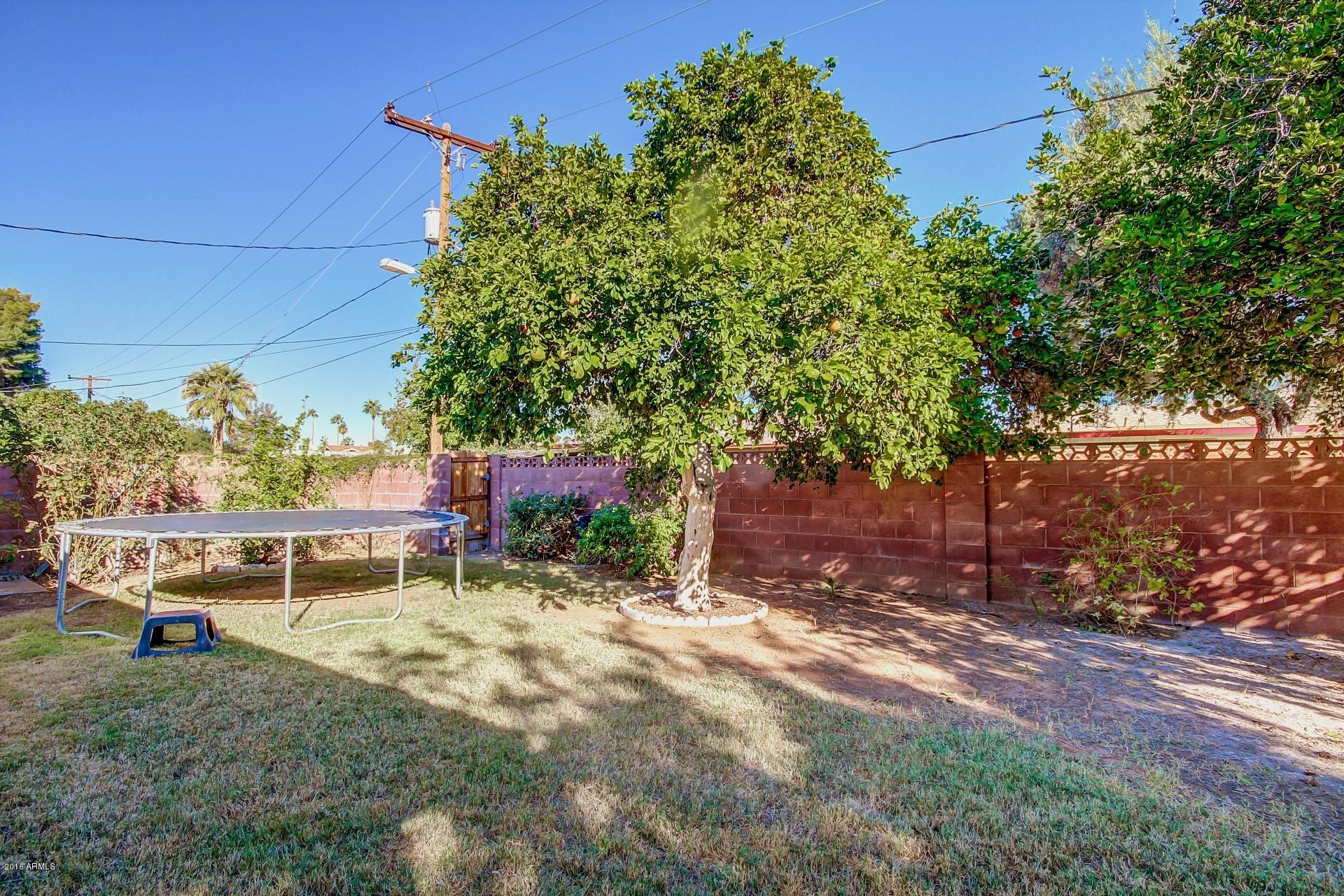 1538 West Lawrence Road Phoenix, AZ 85015 - Photo 26 of 26 0020-Lawerence (20)