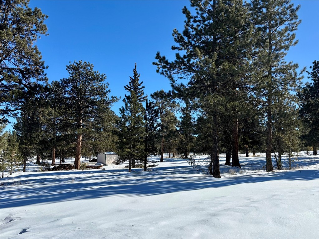 Tbd Singletree Road Hartsel, CO 80449 - Photo 11 of 35 a view of road with trees