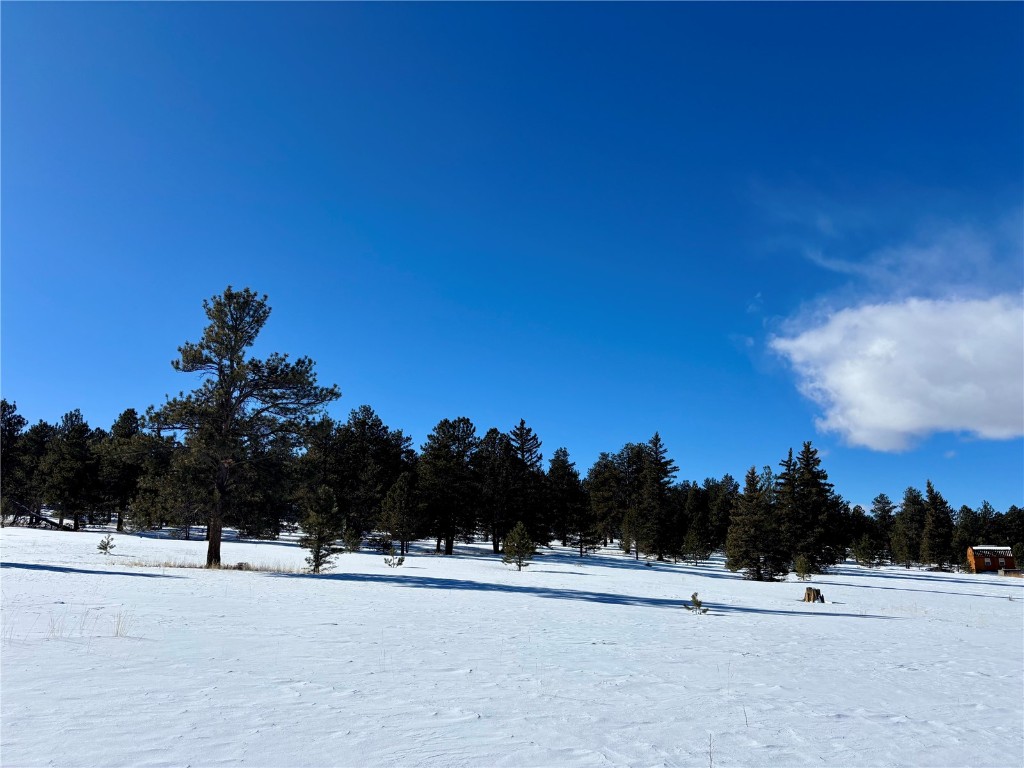 Tbd Singletree Road Hartsel, CO 80449 - Photo 13 of 35 a view of a terrace