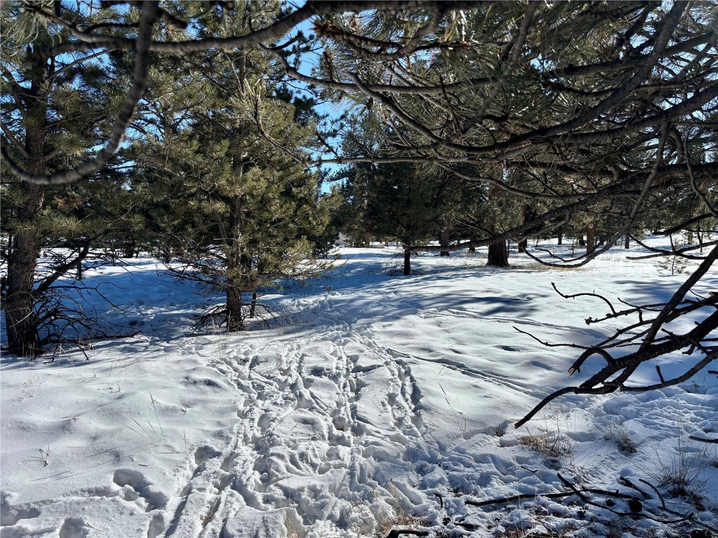 Tbd Singletree Road Hartsel, CO 80449 - Photo 15 of 35