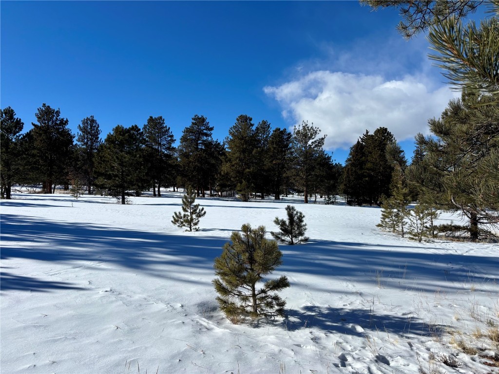 Tbd Singletree Road Hartsel, CO 80449 - Photo 16 of 35