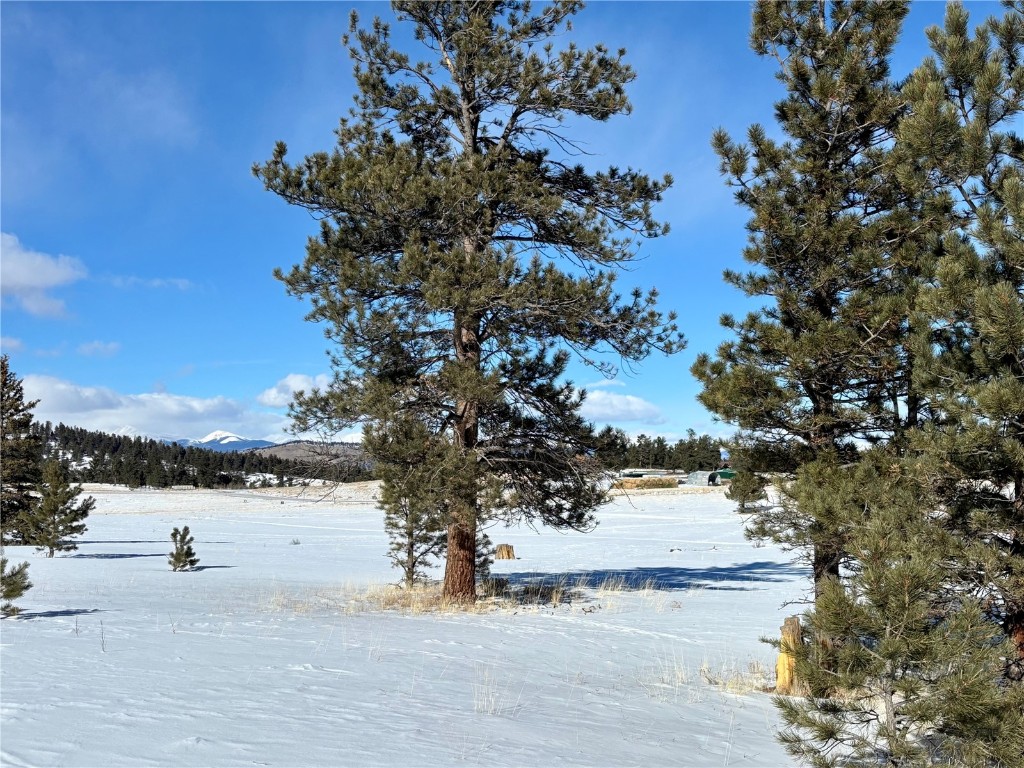Tbd Singletree Road Hartsel, CO 80449 - Photo 17 of 35 a view of lake view