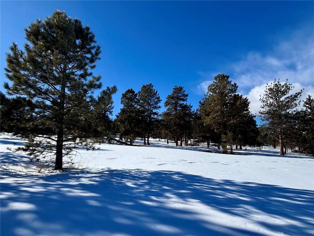 Tbd Singletree Road Hartsel, CO 80449 - Photo 18 of 35 a view of side of snow with trees in the background