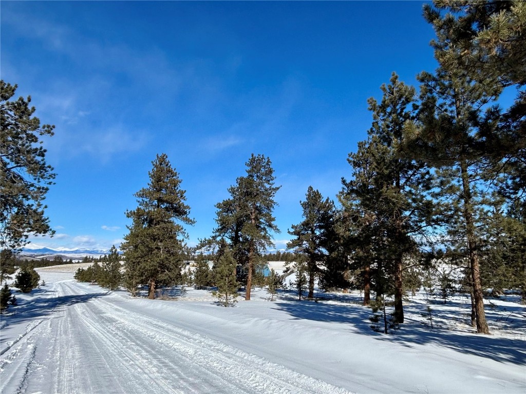 Tbd Singletree Road Hartsel, CO 80449 - Photo 20 of 35 a view of a street