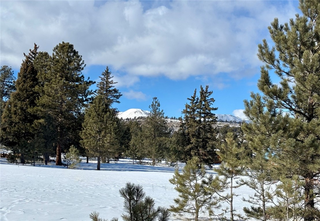 Tbd Singletree Road Hartsel, CO 80449 - Photo 2 of 35 a view of a yard with mountain and trees