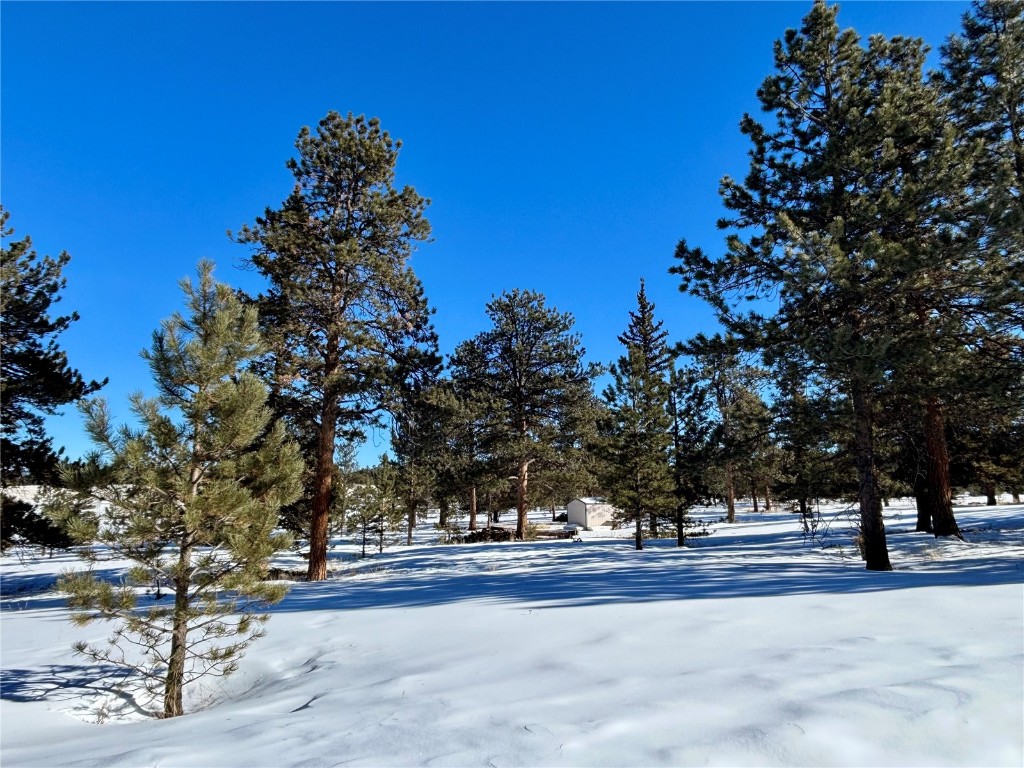 Tbd Singletree Road Hartsel, CO 80449 - Photo 21 of 35 a view of a yard with a tree