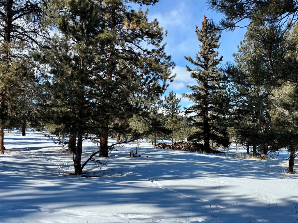Tbd Singletree Road Hartsel, CO 80449 - Photo 23 of 35 a view of street with trees