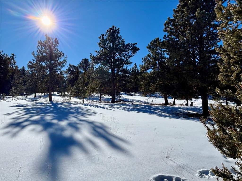 Tbd Singletree Road Hartsel, CO 80449 - Photo 25 of 35 a view of snow with trees