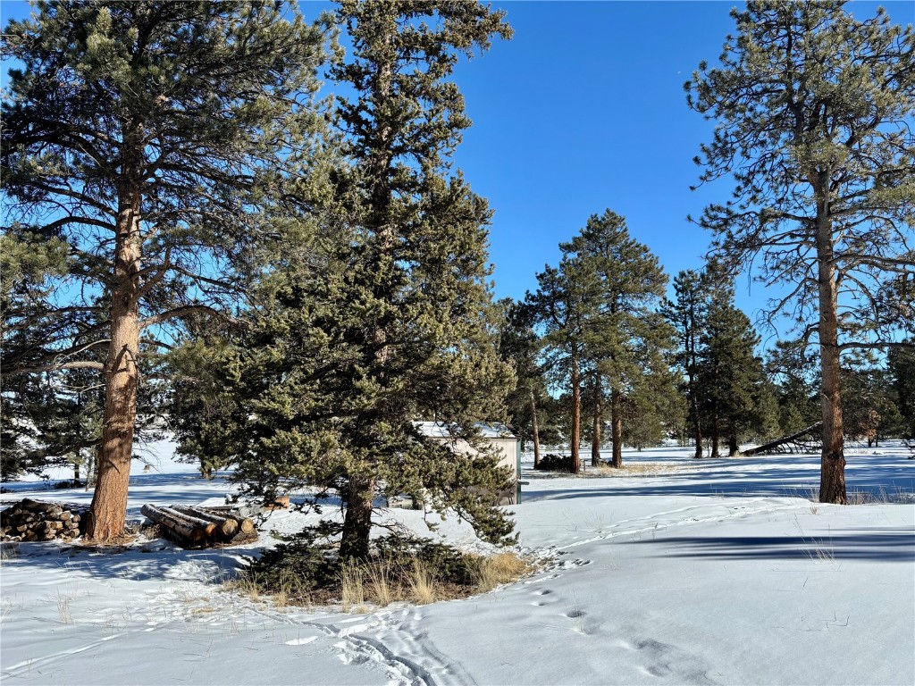 Tbd Singletree Road Hartsel, CO 80449 - Photo 28 of 35 a view of road with trees