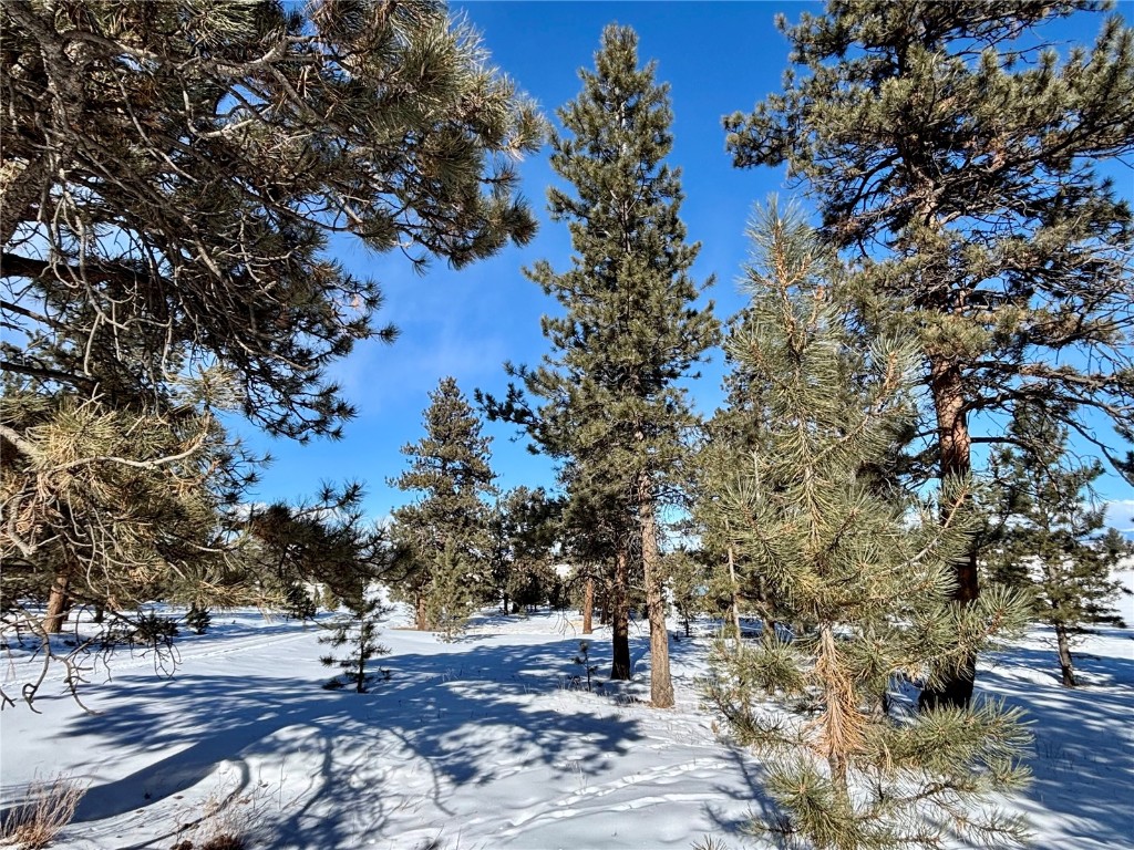 Tbd Singletree Road Hartsel, CO 80449 - Photo 30 of 35 a view of outdoor space with sitting space