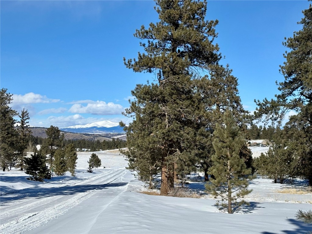 Tbd Singletree Road Hartsel, CO 80449 - Photo 31 of 35 a view of a house with a tree park