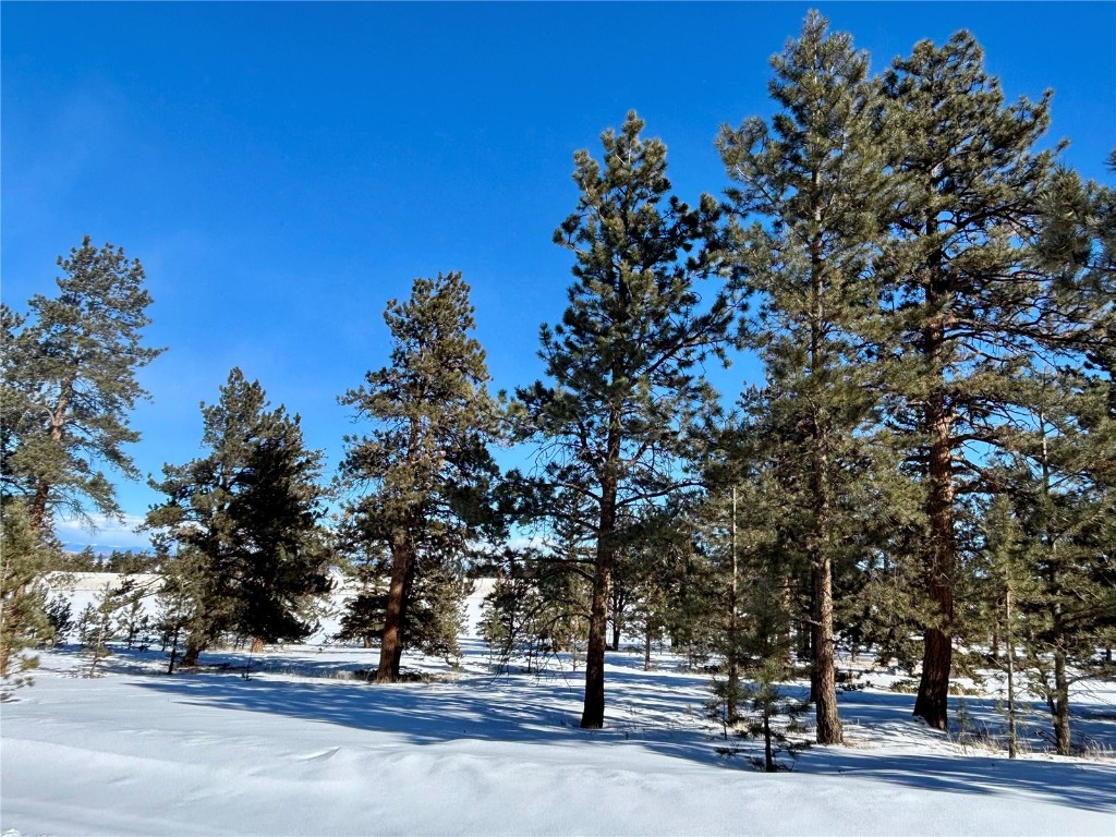 Tbd Singletree Road Hartsel, CO 80449 - Photo 33 of 35 a outdoor space with lots of trees
