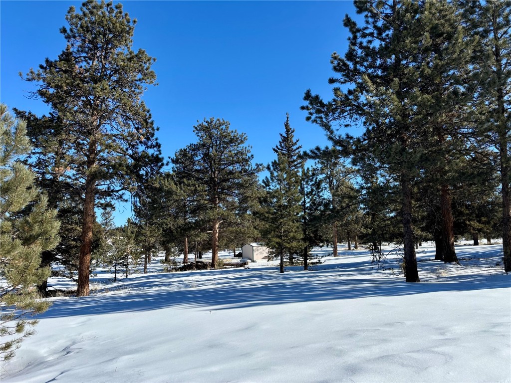 Tbd Singletree Road Hartsel, CO 80449 - Photo 35 of 35 a view of a trees and a yard