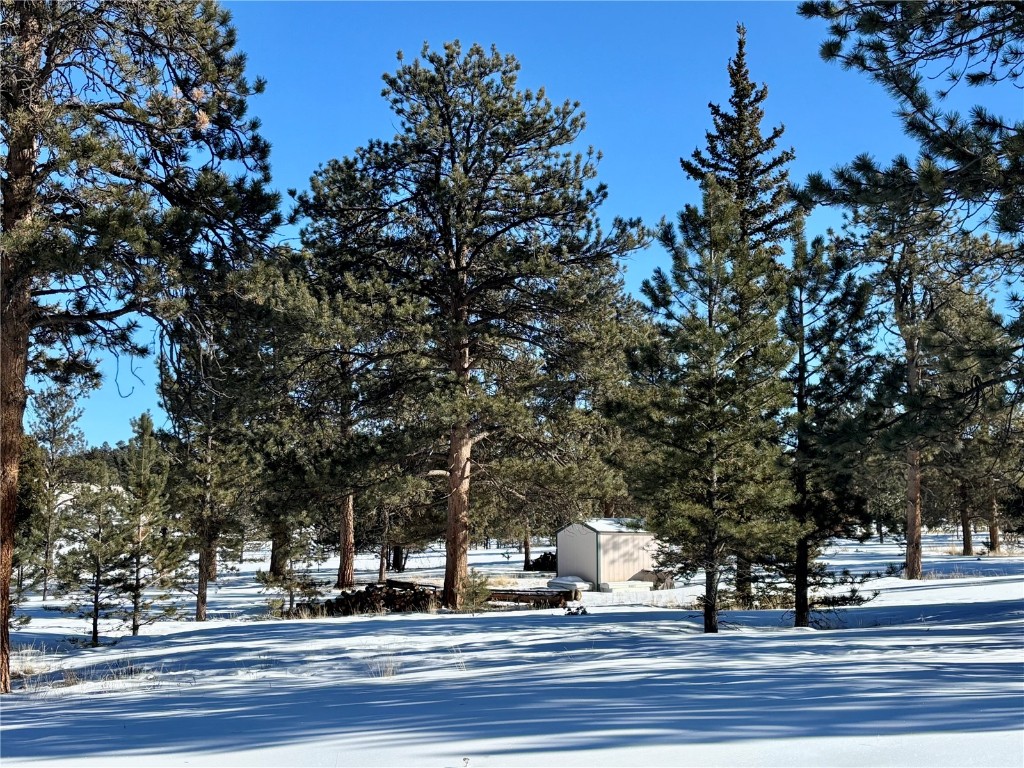Tbd Singletree Road Hartsel, CO 80449 - Photo 4 of 35 a view of a city view