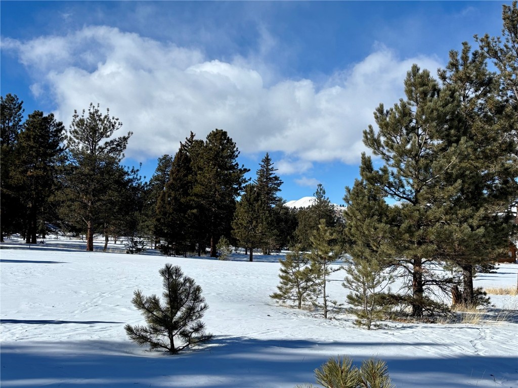 Tbd Singletree Road Hartsel, CO 80449 - Photo 7 of 35 a view of a yard and lake view