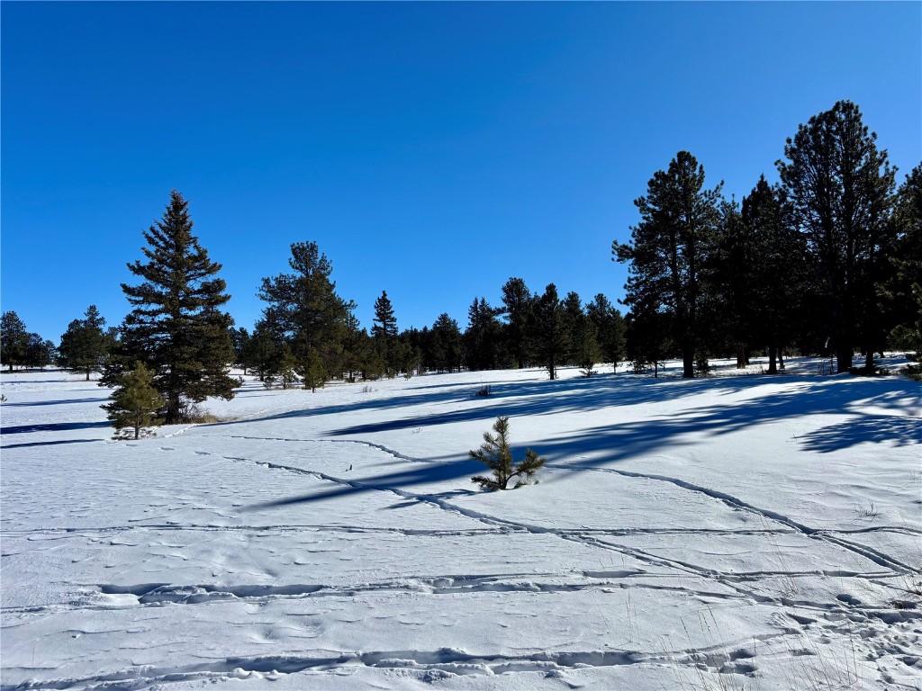 Tbd Singletree Road Hartsel, CO 80449 - Photo 8 of 35 a view of outdoor space with trees