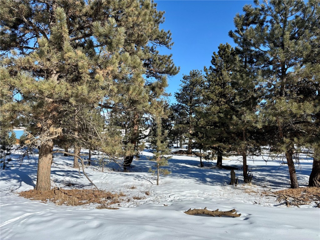 Tbd Singletree Road Hartsel, CO 80449 - Photo 9 of 35 a view of road with trees