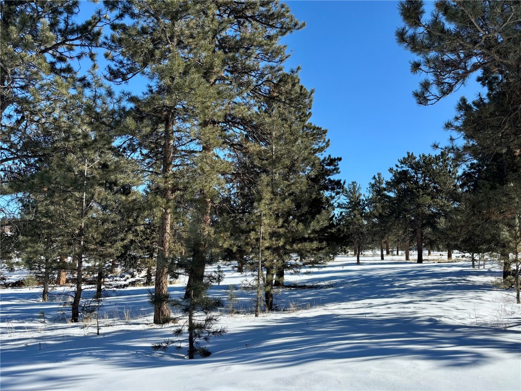 Tbd Singletree Road Hartsel, CO 80449 - Photo 10 of 35