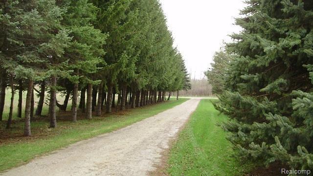 13601 Imlay City Road Capac, MI 48014 - Photo 13 of 13 Imlay City Road M.jpg