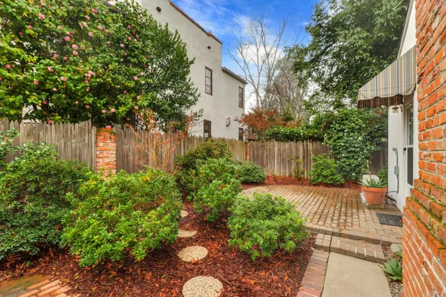 a view of a backyard with potted plants and large tree