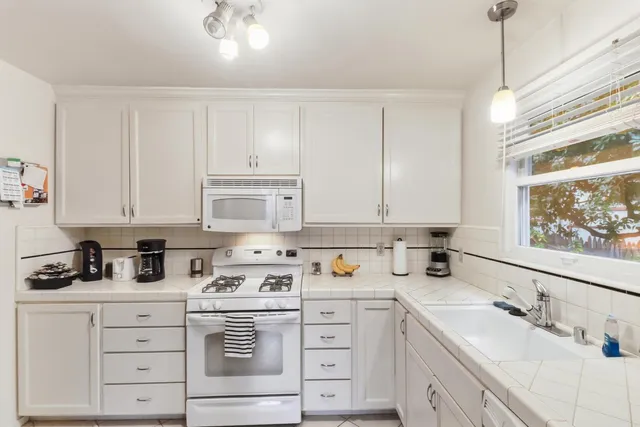 a potted plant sitting in front of a door